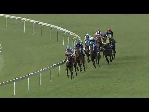 Netta - GERALD ROSENBERG STAKES (Grade 2)