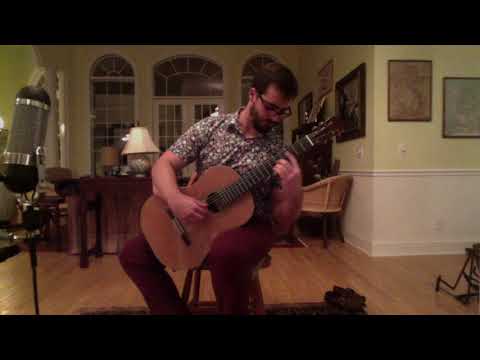 2014 Steven Walter guitar