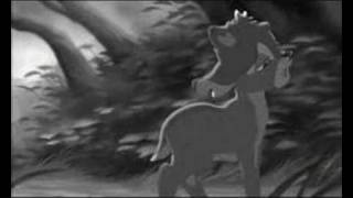 Bambi - Rasmus - in the shadows