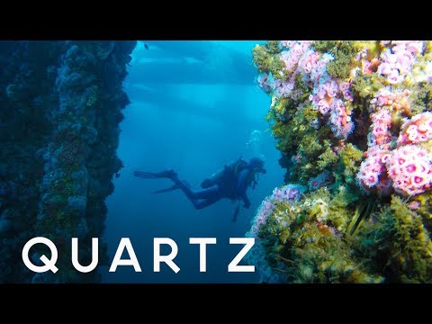 Rigs to Reefs: a new life for offshore oil drilling structures