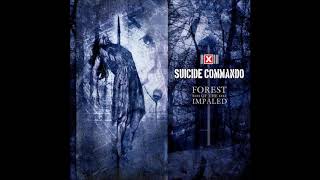 Suicide Commando - Conspiracy with the Devil (cover by ES23)