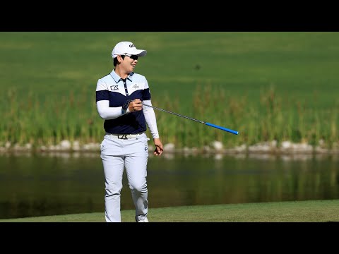 YouTube thumbnail for video