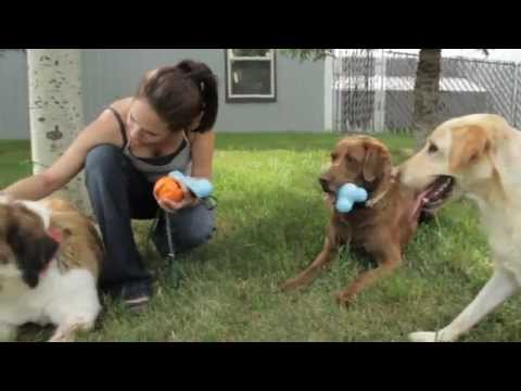 Игрушка для собак West Paw Zogoflex Tux Treat для лакомства 13 см Салатовый (ZG041GRN) - фото 1 - id-p1897448348