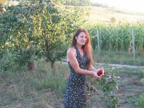 Caut o femeie divortata gheorgheni caut loc de munca in iasi ca bona