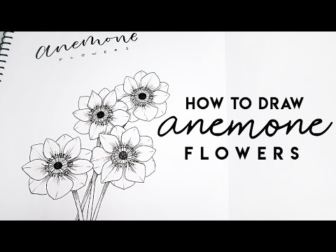 Draw The Anemone Flower | Simple Easy Steps