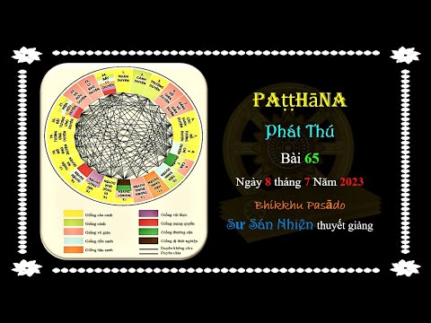 Patṭṭhāna - Phát Thú - Bài 65 - 07/08/2023 do Sư Sán Nhiên (Bhikkhu Pasādo) thuyết giảng.