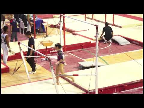 Campionati Assoluti di Ginnastica 2017