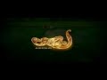 Yaamam Malayalam Short Film Teaser 2016