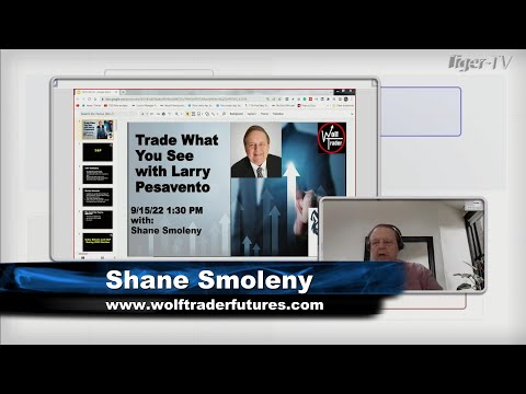 September 15th, Trade What You See with Larry Pesavento  on TFNN - 2022