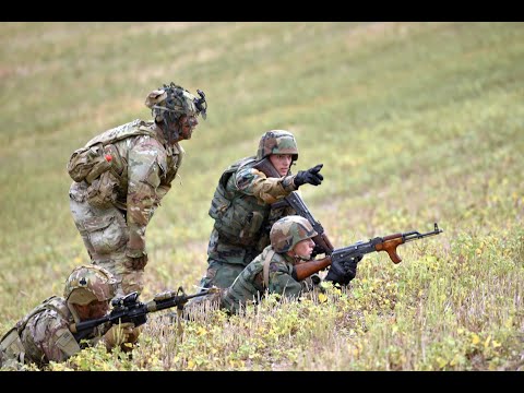 „Scutul de Foc/Rapid Trident - 2023”