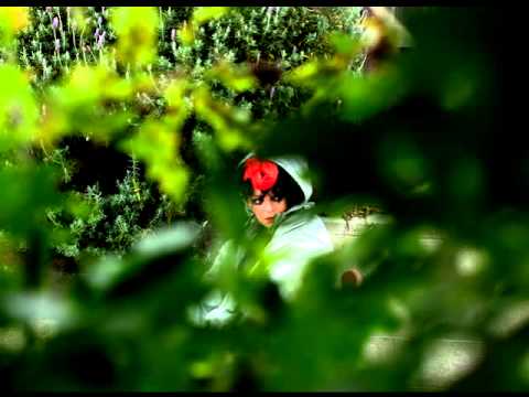 Lady Grinning Soul by Angela McCluskey