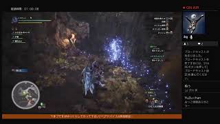 MHWリハビリ～