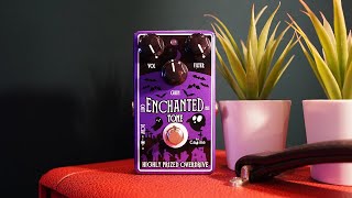 Caline CP-511 Enchanted Tone Highly Prized Overdrive - What To