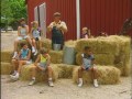 The Donut Man Barnyard Fun