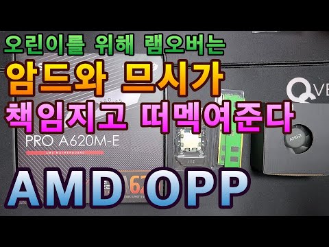 라이젠 램오버 뉴비를 위한 바이블 AMD OPP (MSI B650M 박격포, X870E 카본, X670E 토마호크, B650M 프로젝트제로, A620M-E 그리고 하이닉스DDR5)