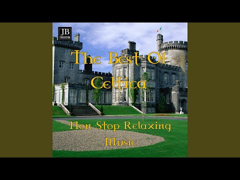 The Best of Celtica Medley Volume 1: Air / An Dro / Gallagher Frolic / Danza Celtica /...