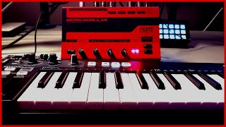 Video thumbnail for Nord Micro Modular - Digital Spaghetti from the 90s [No Talking Demo] by Marshal Arnold
