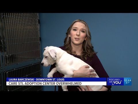 5 On Your Side at 10 (Full Broadcast) - 12/11/2022