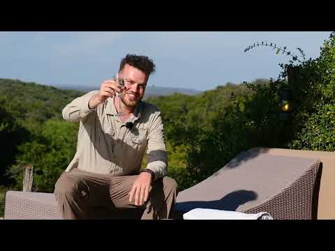 Volunteer at the Amakhala Conservation Project   The Great Projects