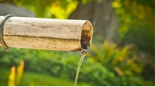 MUSICA PARA RELAXAR- SONS RELAXANTES DE ÁGUA JORRANDO DA BICA DE BAMBÚ