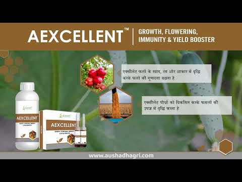 Flowering stimulant and yield booster, bag, pack size: 100 m...