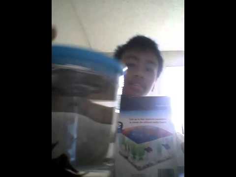 Betta fish tank unboxing