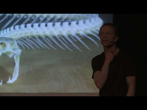 Science Slam Esslingen 2016 - Der Gewinner: Dr. Sebastian Lotzkat "Keine Bange vor der Schlange"