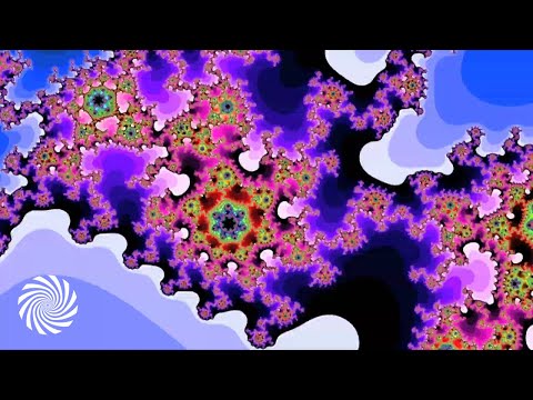 Shotu - Aarhus Virus