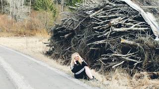 Трейлер превью