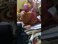 Urut Perut Hamil 7bulan Pelanggansetia330