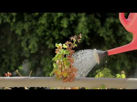 Ayber Landscape Maintenance