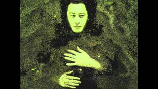 Alain Bashung - Samuel Hall