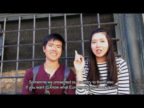 Tam and New in Link to Continents Program