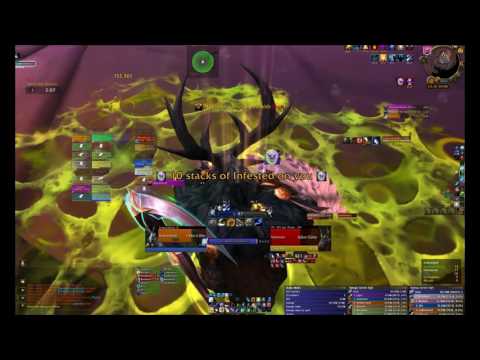 Mythic Emerald Nightmare Nythendra - Chaotic Serenity@Frostmourne-US