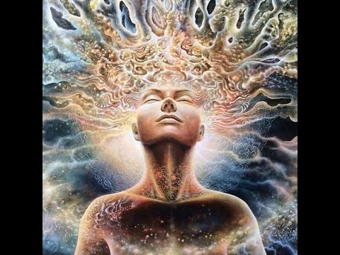 Vem força da Ayahuasca - Sagrada Tradição Tribo do Amor