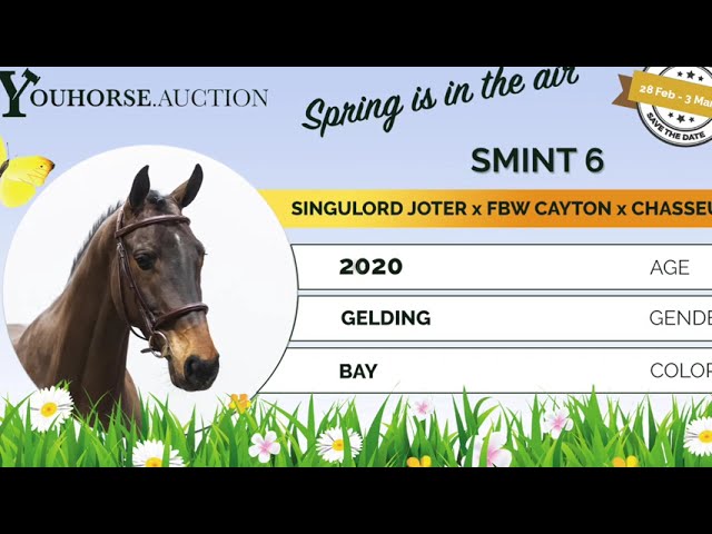 Smint showvideo indoor