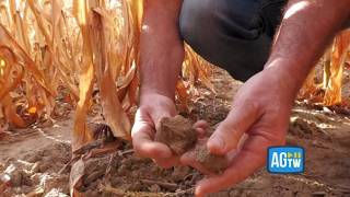 Allarme siccità, gli agricoltori lombardi abbandonano i campi: «Senza acqua dobbiamo scegliere co...