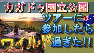 【オーストラリア/シドニー/ヤバい事だらけなワイルドツアーの第一弾/カガドゥ国立公園編/命知らず…】
