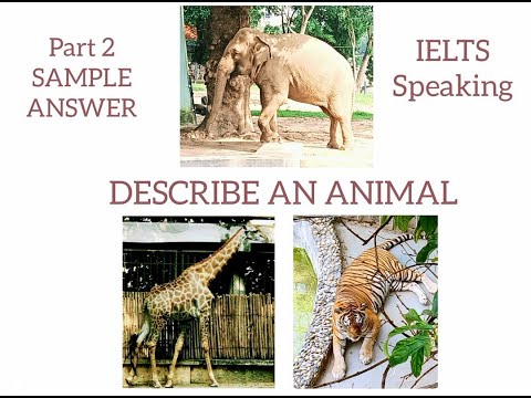 Describe a wild animal. IELTS Speaking Part 2 Sample answer.