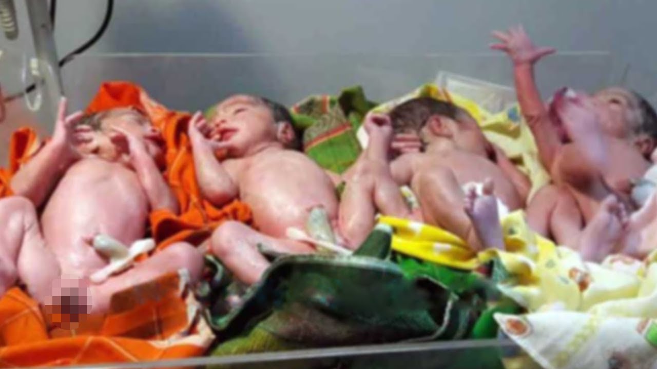 Perempuan Aneh Hari Kedua Ramadan Seorang Wanita di Kaltim Lahirkan 4 Perempuan Aneh Hari Kedua Ramadan Seorang Wanita di Kaltim Lahirkan 4