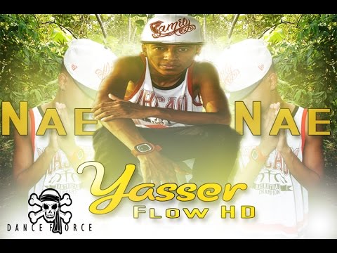 Dance Force 1: Yasser Flow HD Nae Nae