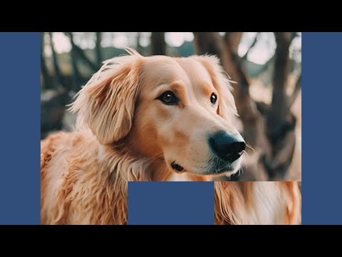 Image Slide Puzzle - Classic (by Hirokazu Uno) IOS Gameplay Video (HD) - YouTube