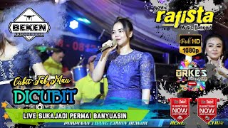 Download lagu New Rafista Music | Cubit Tak Mau Dicubit | Live Sukajadi | WD Sasha And Arman | Beken Production mp3