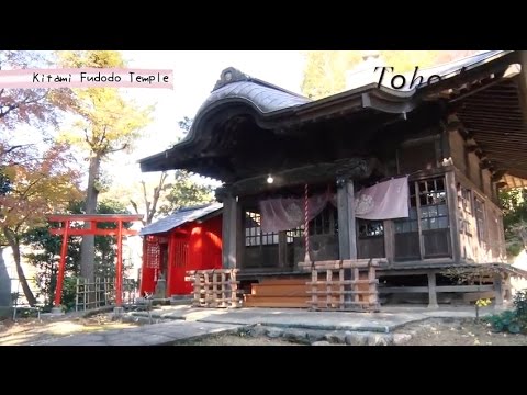 Tohode ~Discovery walk of Kokubunji cliff line and Seijo’s Nature