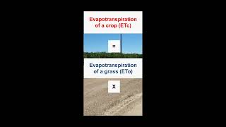 0026 Crop Coefficients Kc and Evapotranspiration ETc