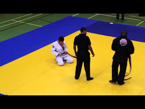 Besouro coupe suisse 2014