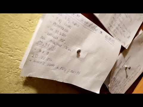 Piwniczka Bierniego - początki