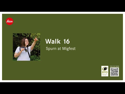 Spurn Point at Migfest - 16th '21 Wildlife Walks!'