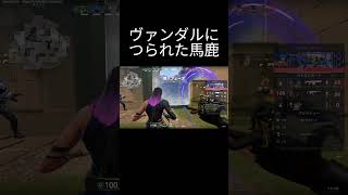 馬鹿は俺のほうやった【VALORANT】#valorant #ゲーム #おしゃれさんと繋がりたい  #sqlaファンボーイ#ヴァンダルに誘われたあたしはカブトムシ　#aiko