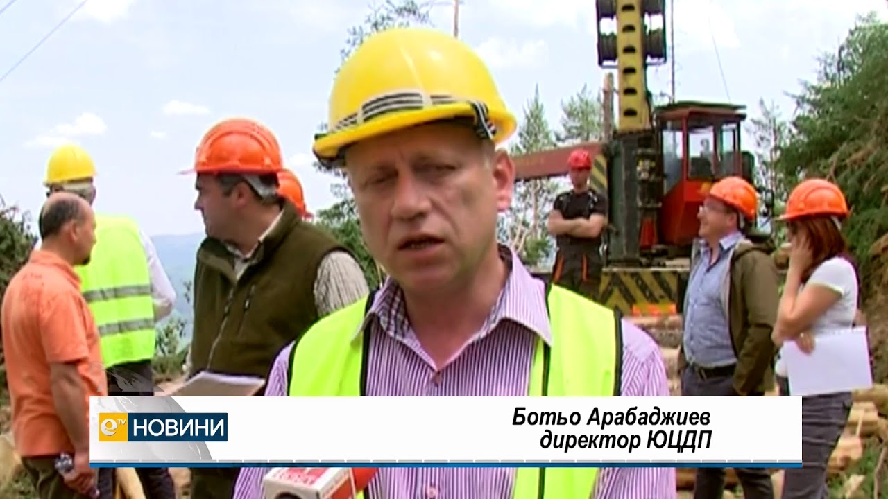 Приоритетно се сече в засегнати от корояд и ветровал гори